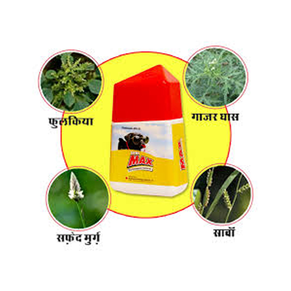 IMG-PRODUCT