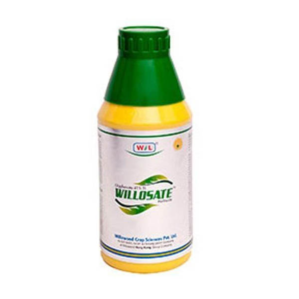 IMG-PRODUCT