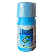 IMG-PRODUCT